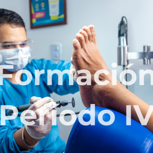 Período IV