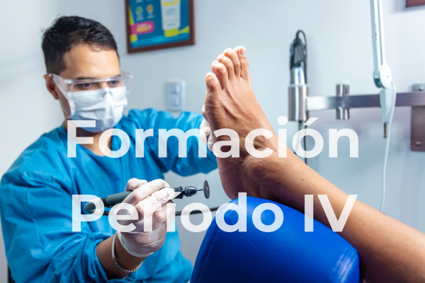 Período IV